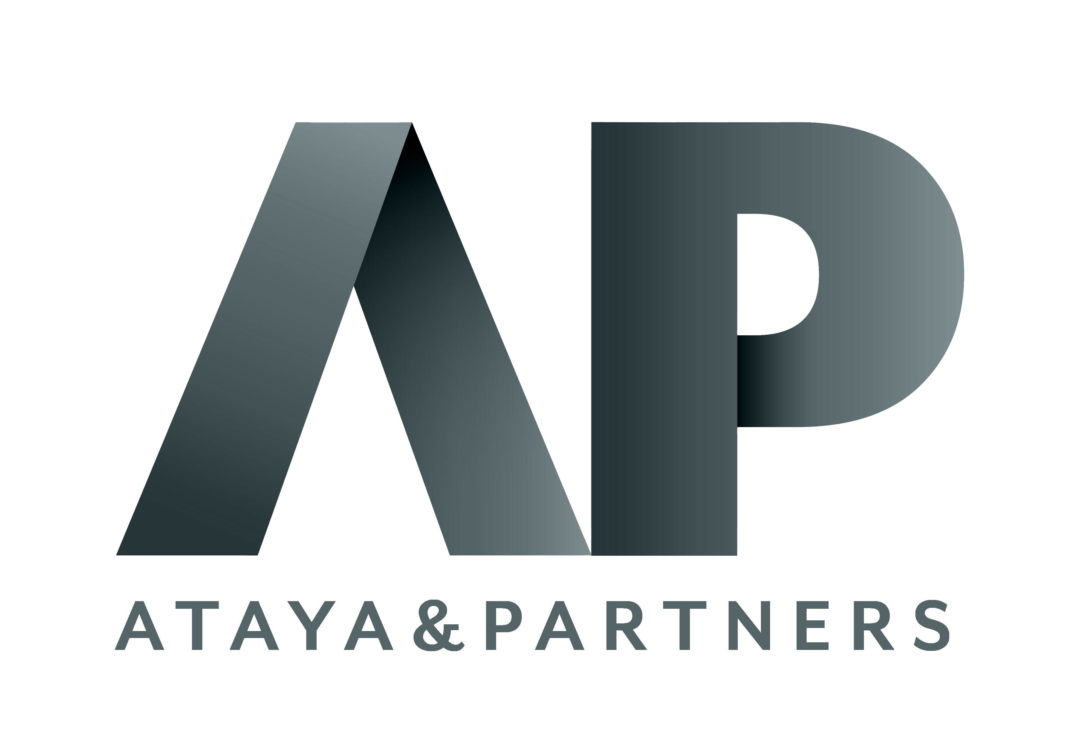 atayapartners_1 copy